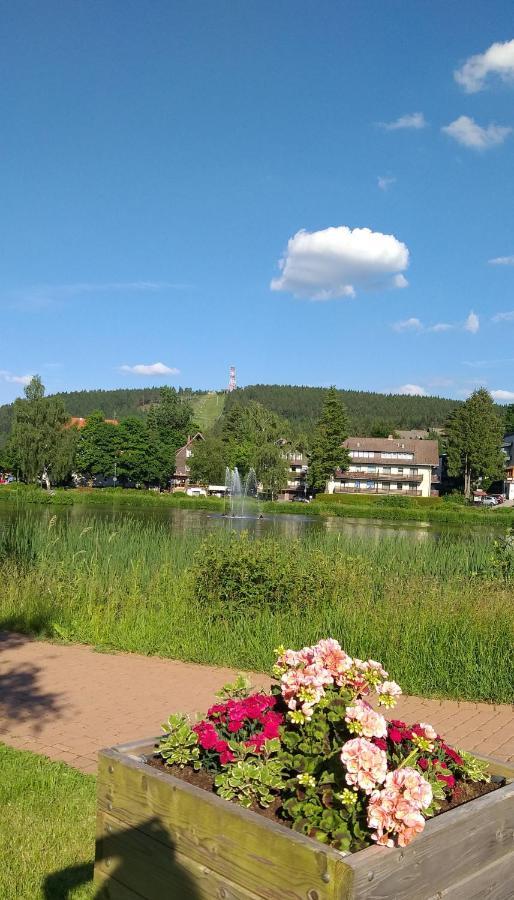 Apartament Aussicht Goslar Zewnętrze zdjęcie